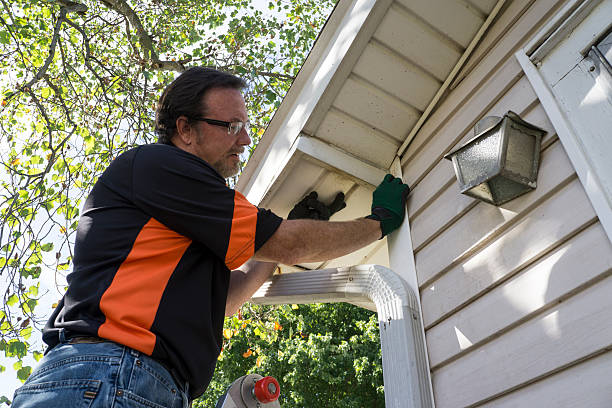 Best Stone Veneer Siding  in Diboll, TX